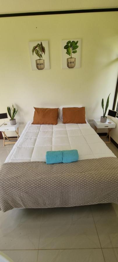 Koi Room Quesada  Екстер'єр фото